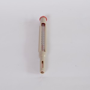 Thermometer im Plastikgehäuse 