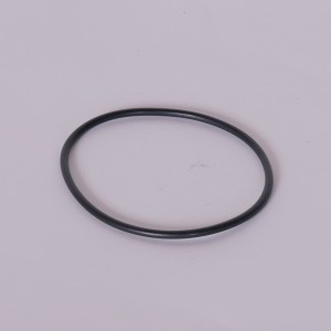 Seal ring for barrel - E1